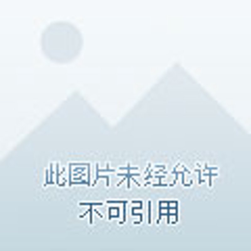 如何高效选购郴州贸易公司？一份全面指南